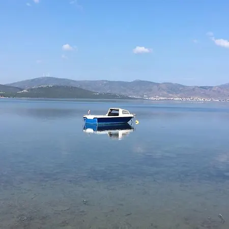Yasemin *